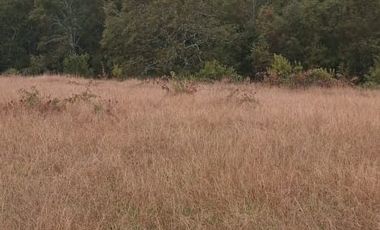 PARCELA  - RUTA SEPTIMA FAJA