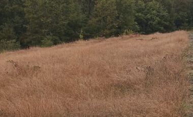 PARCELA  - RUTA SEPTIMA FAJA