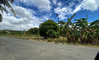 Lot for Rent in Banilad, Cebu City