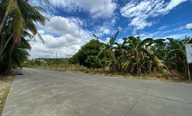 Lot for Rent in Banilad, Cebu City