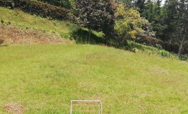 VENTA DE FINCA UBICADA EN SAN VICENTE FERER