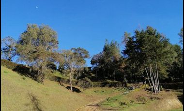 VENTA DE FINCA UBICADA EN SAN VICENTE FERER