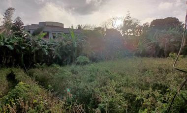 Vacant Lot For Sale in Zambal, Tagaytay