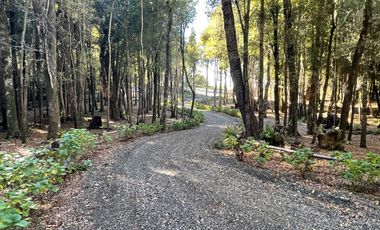 2 hectáreas orilla de lago *1046
