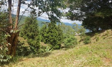 Finca en venta en Angelópolis, Angelópolis