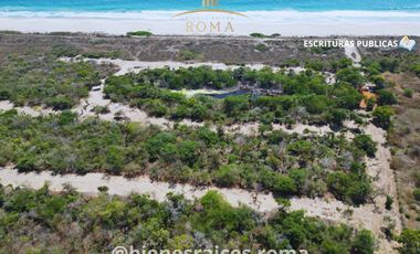 TERRENOS A PIE DE PLAYA EN PUERTO ESCONDIDO, ESCOBILLA PROPIEDAD PRIVADA