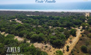 TERRENOS A PIE DE PLAYA EN PUERTO ESCONDIDO, ESCOBILLA PROPIEDAD PRIVADA