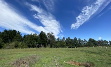 Z O N A S U R . C L Destino habitacional o comercial casa  terreno de 5.000 m2 a orilla de camino público Pedregoso Villarrica