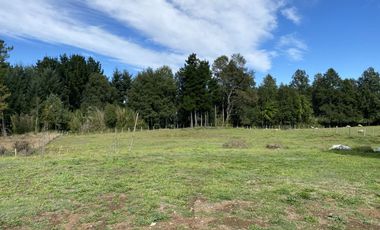 Z O N A S U R . C L Destino habitacional o comercial casa  terreno de 5.000 m2 a orilla de camino público Pedregoso Villarrica