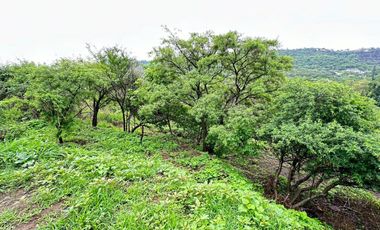 TERRENO EN VENTA EN LAS CAÑADAS