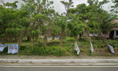 Lot for Lease Crisanto Delos Reyes St. Amadeo, Cavite