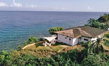 4,452 sqm Beach House and Lot for Sale in Barili, Cebu - PHP 30M
