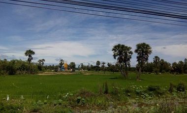 Land for sale 15 rai, next to Robinson Road, Phetchaburi.