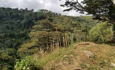Venta de  Finca en Fusagasugá 2km-vía Arbeláez