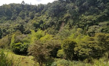 Venta de  Finca en Fusagasugá 2km-vía Arbeláez