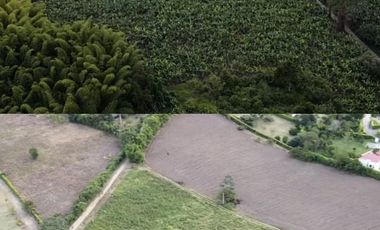 Lotes en venta en la tebaida Quindio