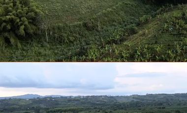 Lotes en venta en la tebaida Quindio