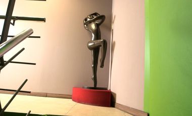 VENTA EDIFICIO, HOSTAL, IZTAPALAPA, CANAL DEL MORAL, LEYES DE REFORMA