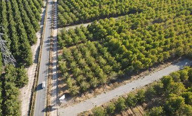 VENTA DE PARCELAS AGRICOLAS DE 5000M2, CAMINO SAN RAMON RANCAGUA