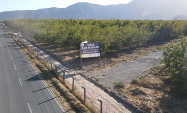 VENTA DE PARCELAS AGRICOLAS DE 5000M2, CAMINO SAN RAMON RANCAGUA