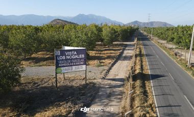 VENTA DE PARCELAS AGRICOLAS DE 5000M2, CAMINO SAN RAMON RANCAGUA