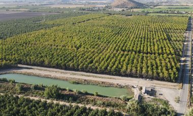 VENTA DE PARCELAS AGRICOLAS DE 5000M2, CAMINO SAN RAMON RANCAGUA
