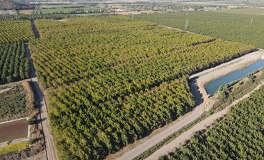 VENTA DE PARCELAS AGRICOLAS DE 5000M2, CAMINO SAN RAMON RANCAGUA