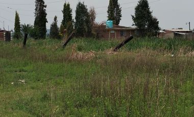 VENTA Terreno con uso de suelo industrial, cercano a avenida, plano.