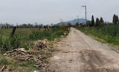 VENTA Terreno con uso de suelo industrial, cercano a avenida, plano.