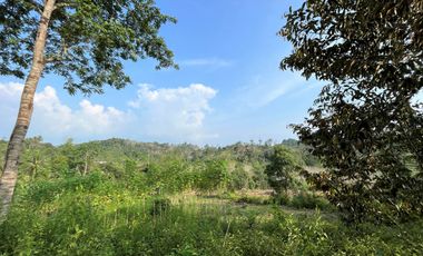 3 Rai 3 Ngan of hillside land with stunning mountain view for sale in Tha yu, Phangnga