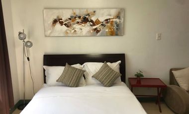 Studio Unit for Sale in Infinity Tower at Taguig City