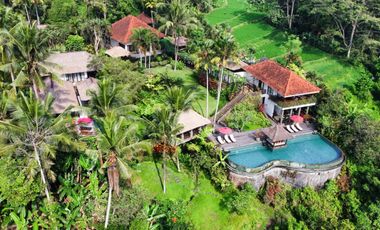 Freehold - Villa on 8,160 Sqm of Land with Lush Widespread Views of Rice Fields and Green Valley