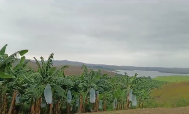 Bananera de Venta en Santa Elena