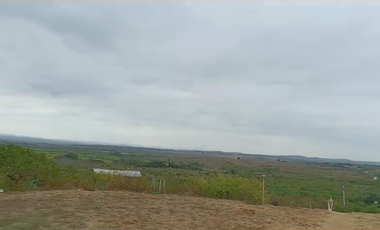 Bananera de Venta en Santa Elena