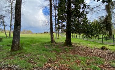 Z O N A S U R . C L Parcela de 5.000 m2 en Loteo barrio privado , camino Villarrica – Loncoche km 10