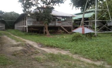 16482 sqm Property for Sale in Rosario, Batangas