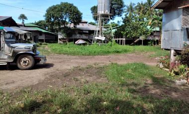 16482 sqm Property for Sale in Rosario, Batangas