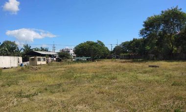 14,368 SQM COMMERCIAL/INDUSTRIAL LOT FOR SALE IN TAGUIG