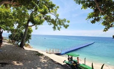Nice View 2 Bedroom Beach Villas with Own Swimming Pool in Aruga Mactan Cebu