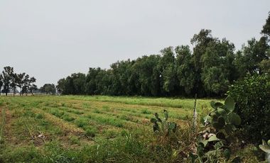 Se vende rancho en Medrano, Silao Gto