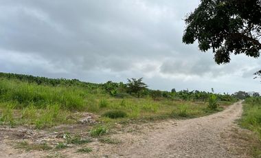 MACROLOTE EN VENTA EL GUABO