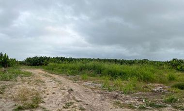 MACROLOTE EN VENTA EL GUABO