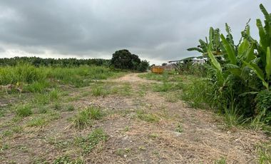 MACROLOTE EN VENTA EL GUABO