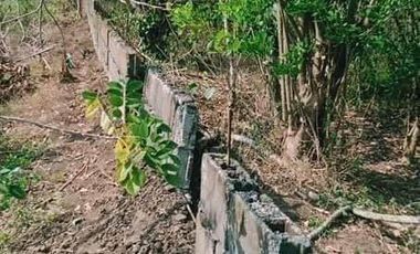 Lot for Sale in Batangas - Padre Garcia