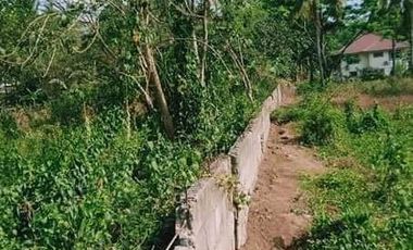 Lot for Sale in Batangas - Padre Garcia