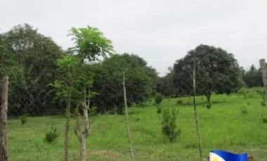 Lot for Sale in Batangas - Padre Garcia