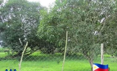 Lot for Sale in Batangas - Padre Garcia