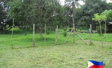 Lot for Sale in Batangas - Padre Garcia