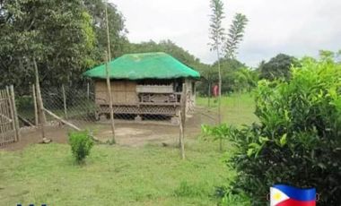 Lot for Sale in Batangas - Padre Garcia