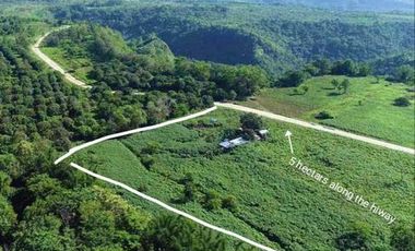Prime Investment Opportunity: 5 Hectares of Titled Land for Sale,